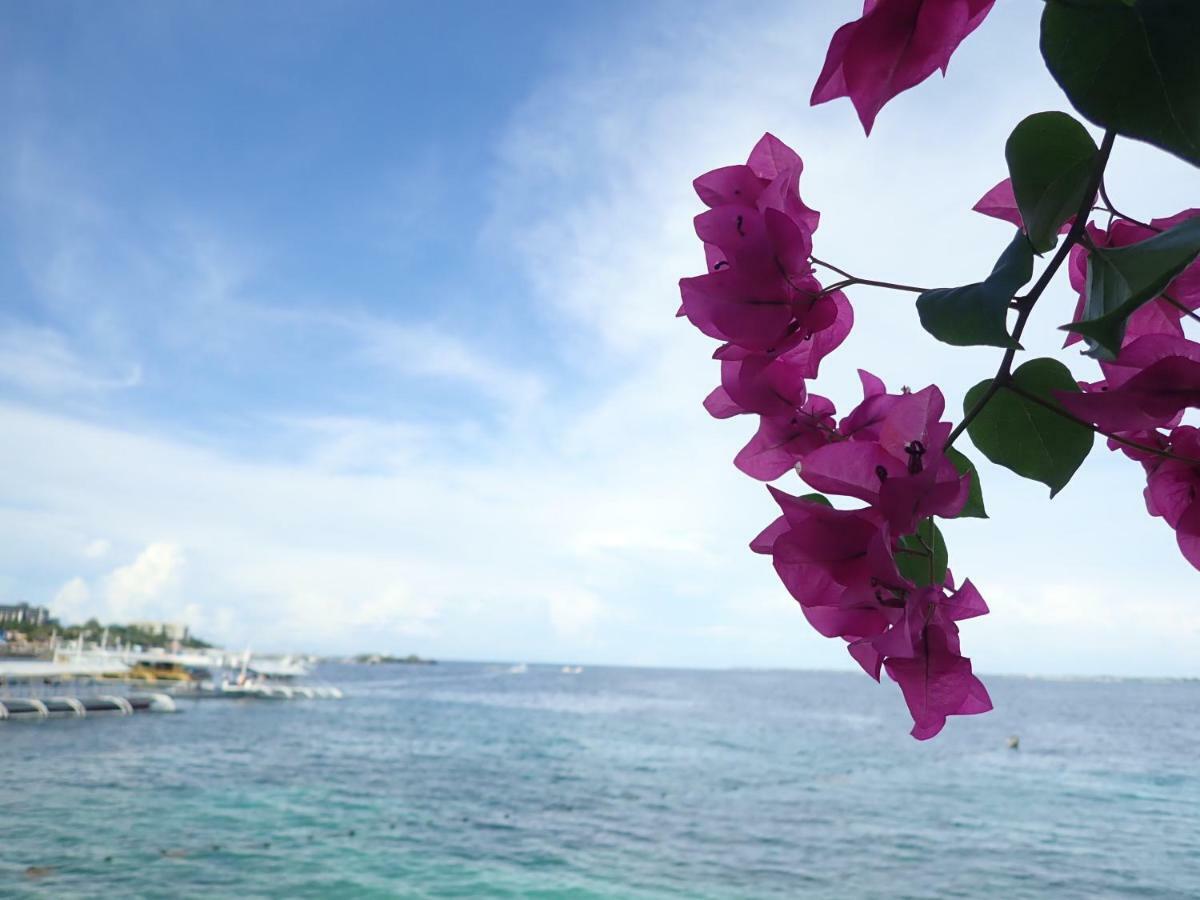 Nost Cottages Lapu-Lapu City Eksteriør bilde